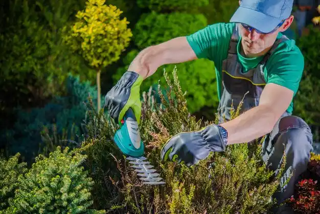 landscaping services Shelburne Falls